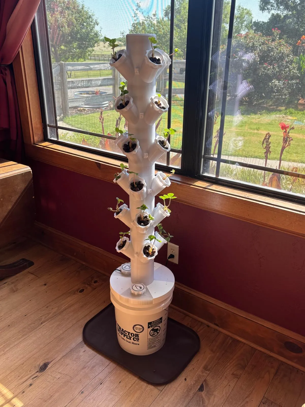 A 3D-printed vertical tower of strawberry seedlings on a bucket base beside a window.